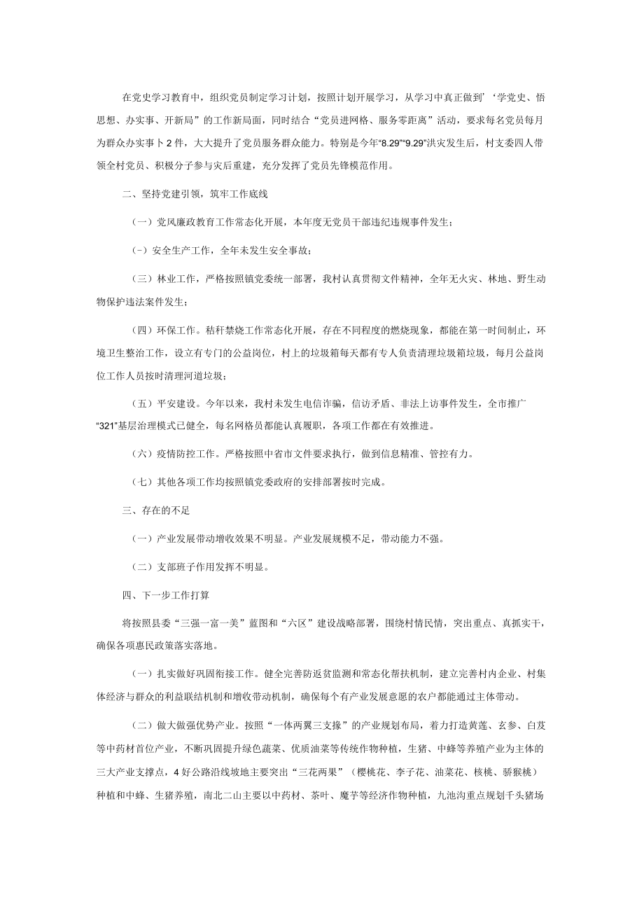 2022年村党支部书记述职材料.docx_第2页