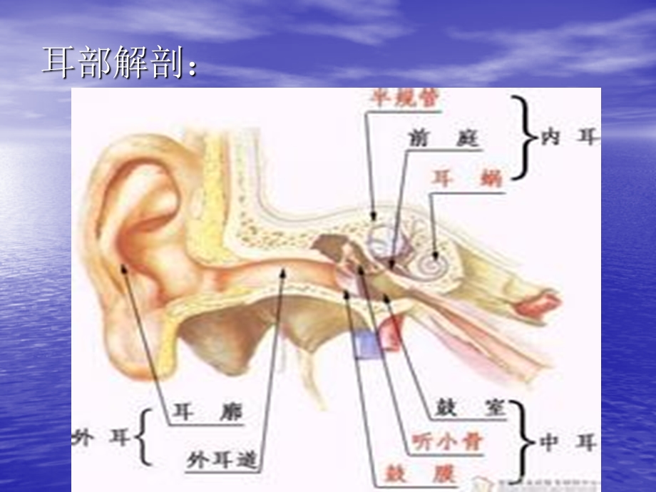 耳鼻喉科手术配合基本知识与配合技能PPT讲稿课件.ppt_第2页