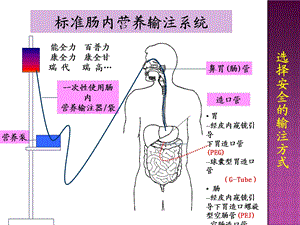 肠内营养并发症的预防及处理课件.ppt