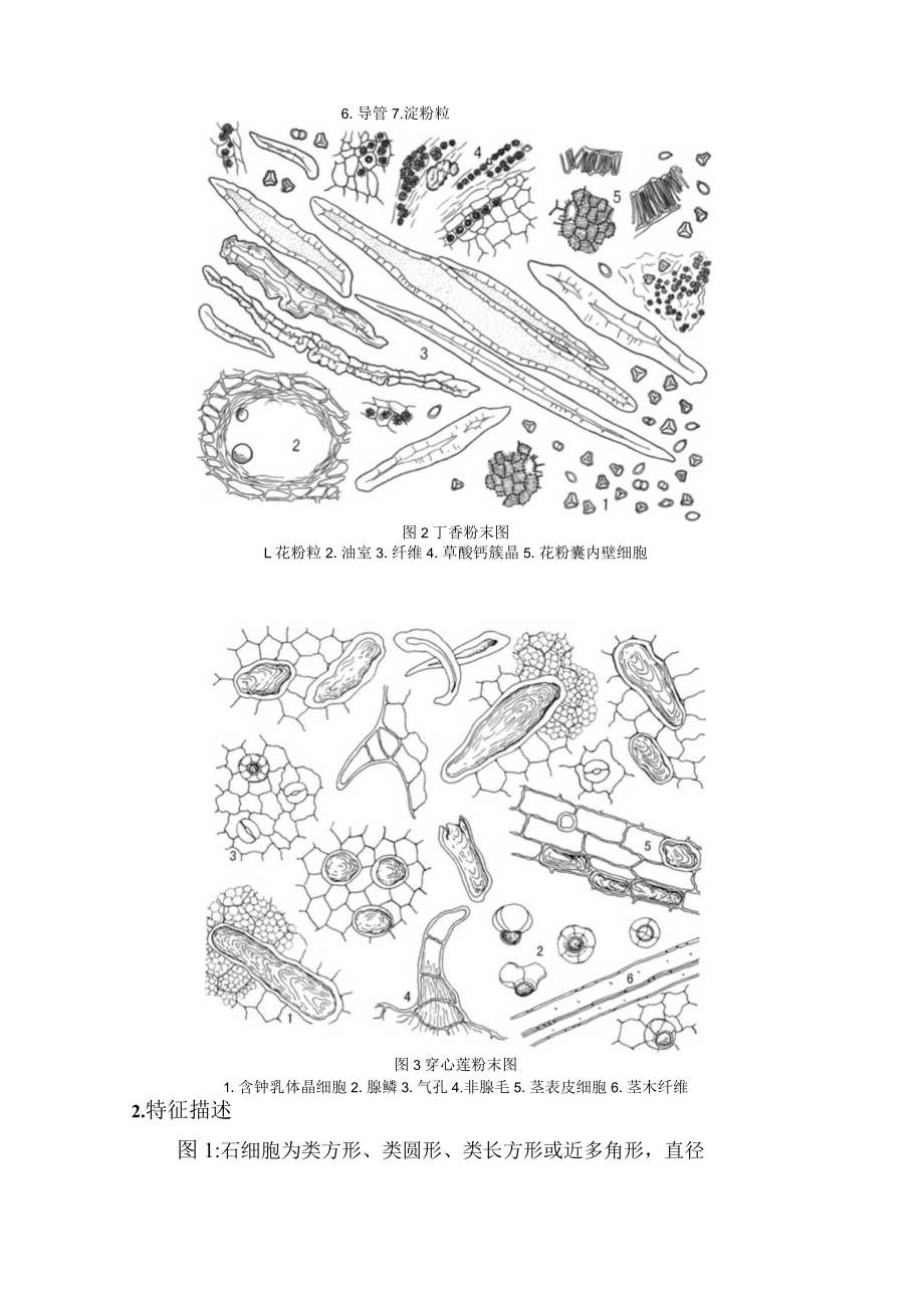 2022年全国职业院校技能大赛-中药传统技能赛项正式赛卷中药显微鉴定试卷+答案-A3-29日上午-GB卷.docx_第2页