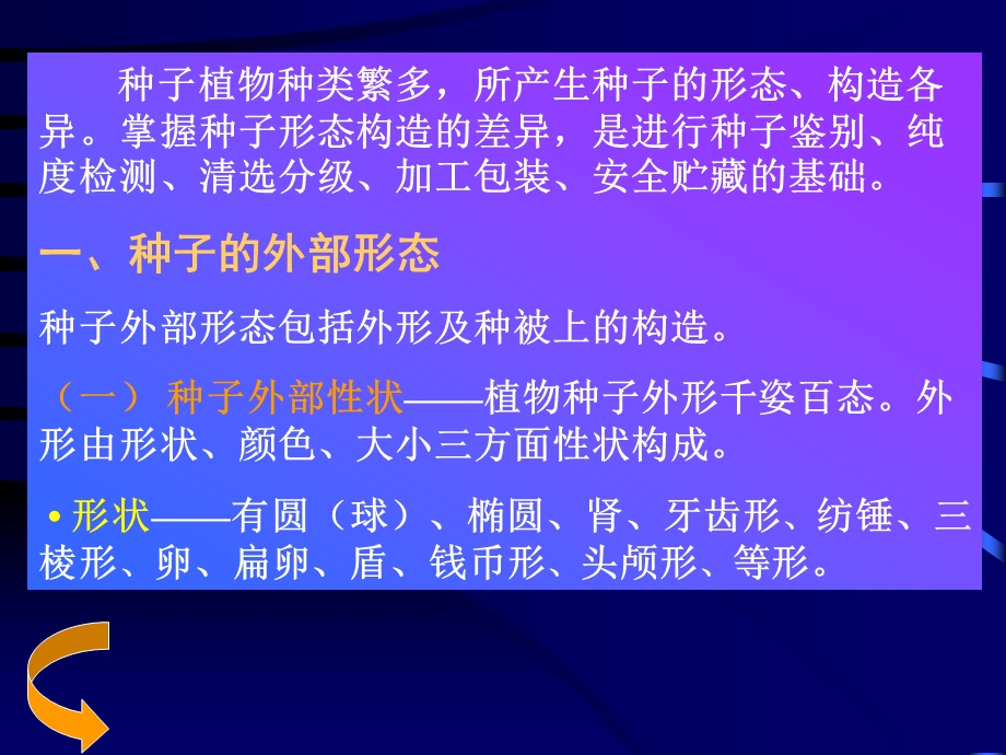 第二节 种子的形态结构与分类资料课件.ppt_第3页