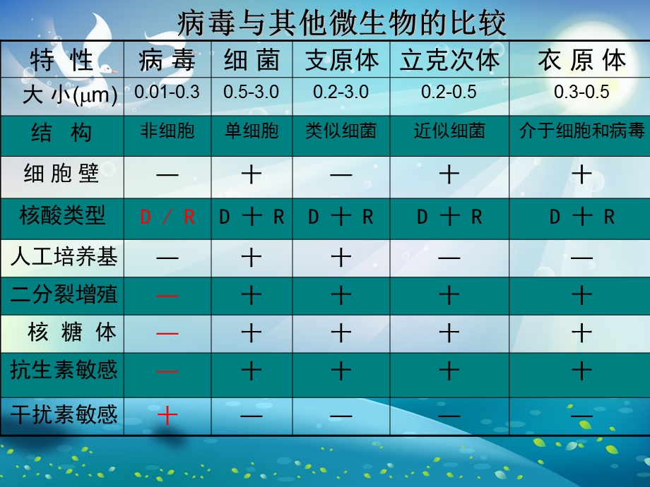 病毒的形态结构与分类版ppt课件.ppt_第3页