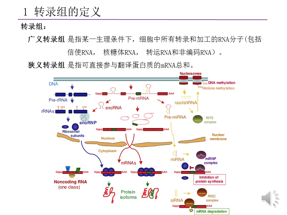 生物信息学ppt课件：7 转录组.pptx_第2页