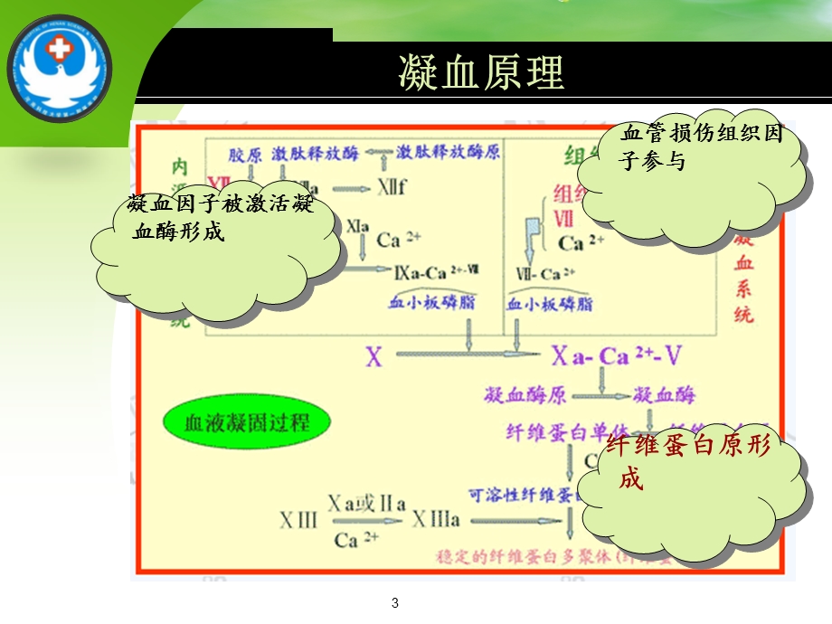 促凝血药物的临床应用课件.ppt_第3页