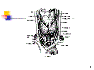 甲状腺功能亢进的外科治疗新课件.ppt