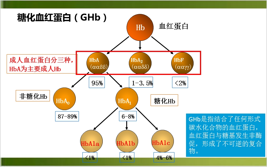 糖化血红蛋白标准化及检测方法比较实用课件.pptx_第2页