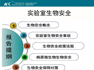 生物安全培训ppt课件精品文档.ppt