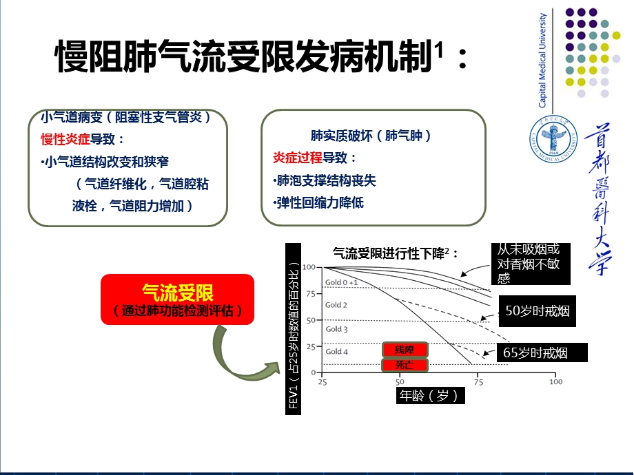 慢性阻塞性肺疾病教学查房课件.ppt_第3页