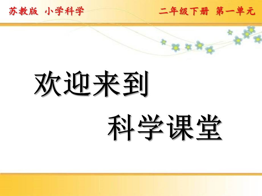 苏教版小学科学二年级下册配套教学ppt课件(全册).pptx_第2页