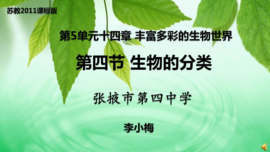 第四节生物的分类课件.ppt_第1页