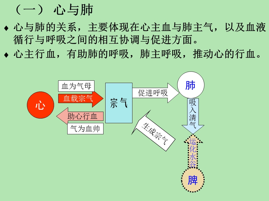 脏腑之间的关系课件.ppt_第1页