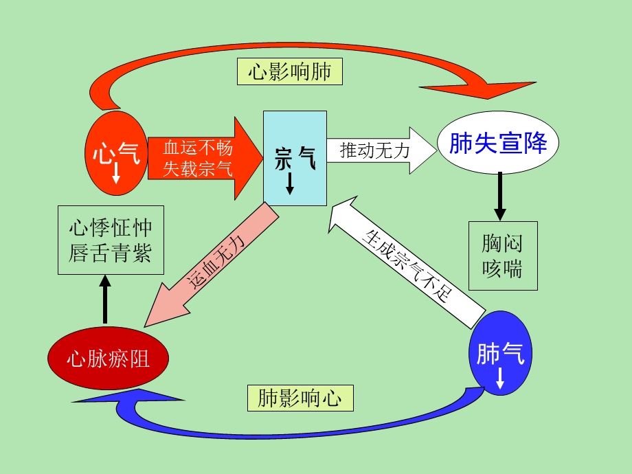 脏腑之间的关系课件.ppt_第2页