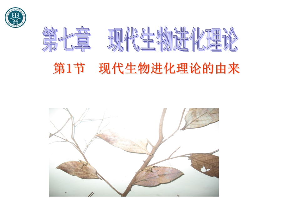 现代生物进化理论的由来课件.ppt_第1页