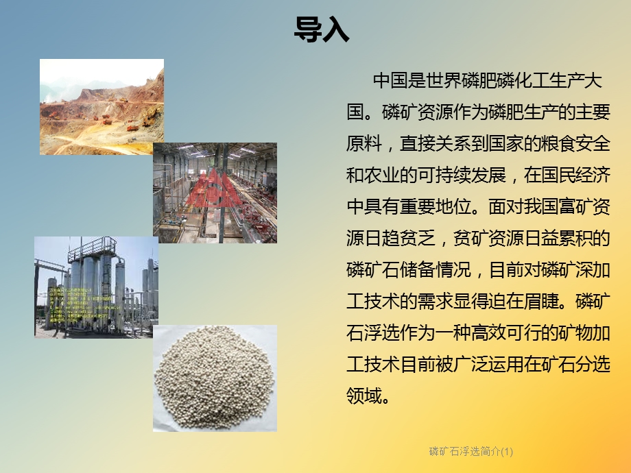 磷矿石浮选简介课件.ppt_第3页