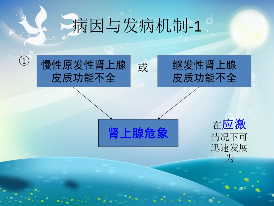 肾上腺素危象急救与护理ppt课件.ppt_第3页