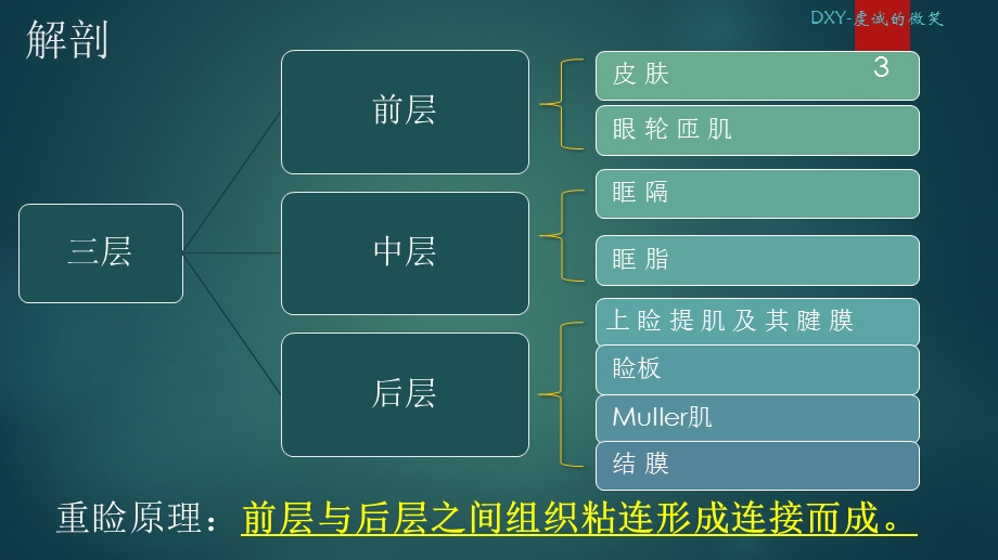 双眼皮重睑手术课件.ppt_第3页