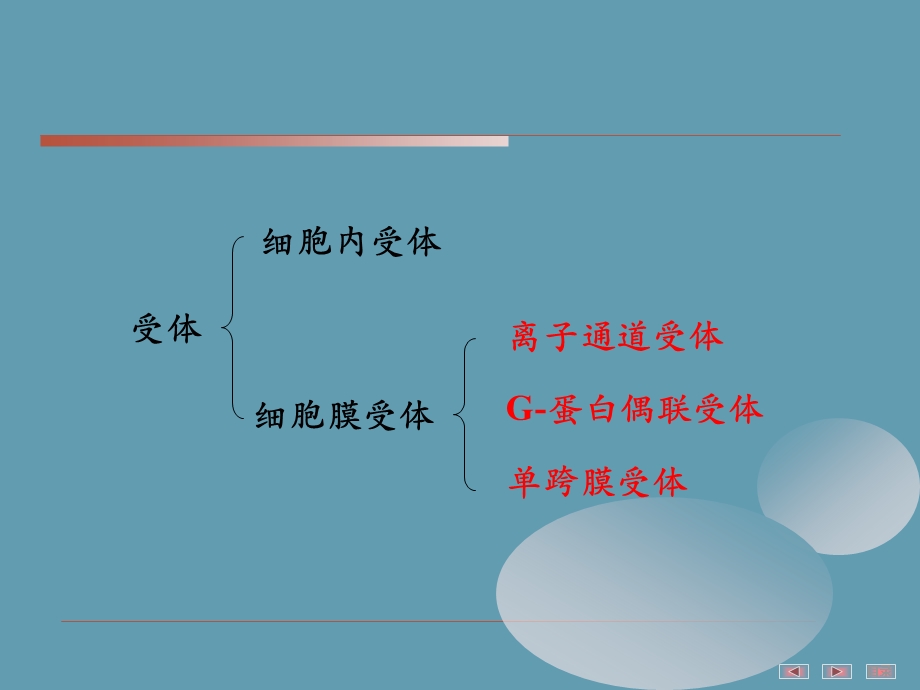 细胞受体介导的细胞内信号转导 课件.ppt_第3页