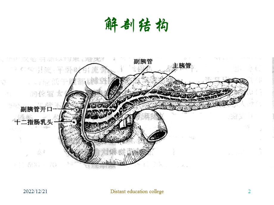 第二十七胰腺疾病病人的护理精品课件.pptx_第2页