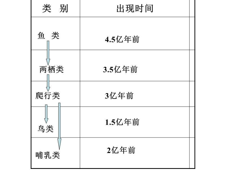 脊椎动物的分类教学ppt课件.ppt_第3页