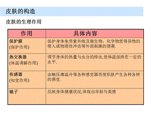 皮肤的基础知识课件.ppt