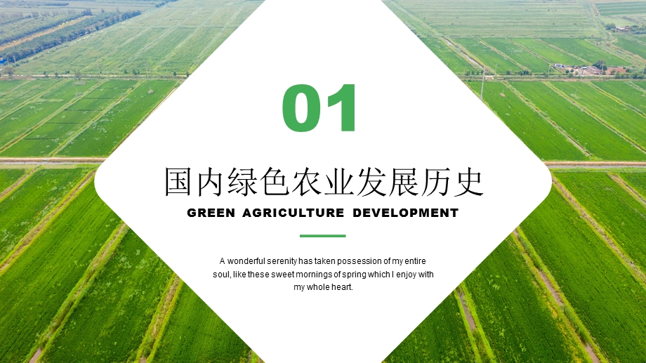 简约助力绿色农业新发展再启程PPT模板课件.pptx_第3页