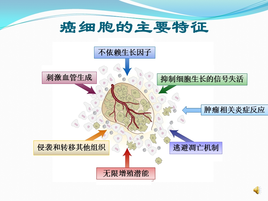 癌症发生及主要分子机制课件.ppt_第3页