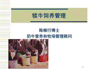 犊牛的饲养管理课件.ppt