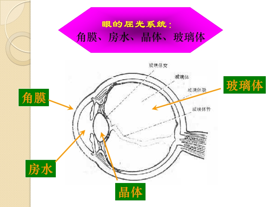 第十六章 屈光不正概要课件.ppt_第2页