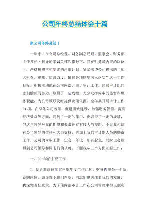 公司年终总结体会十篇.doc