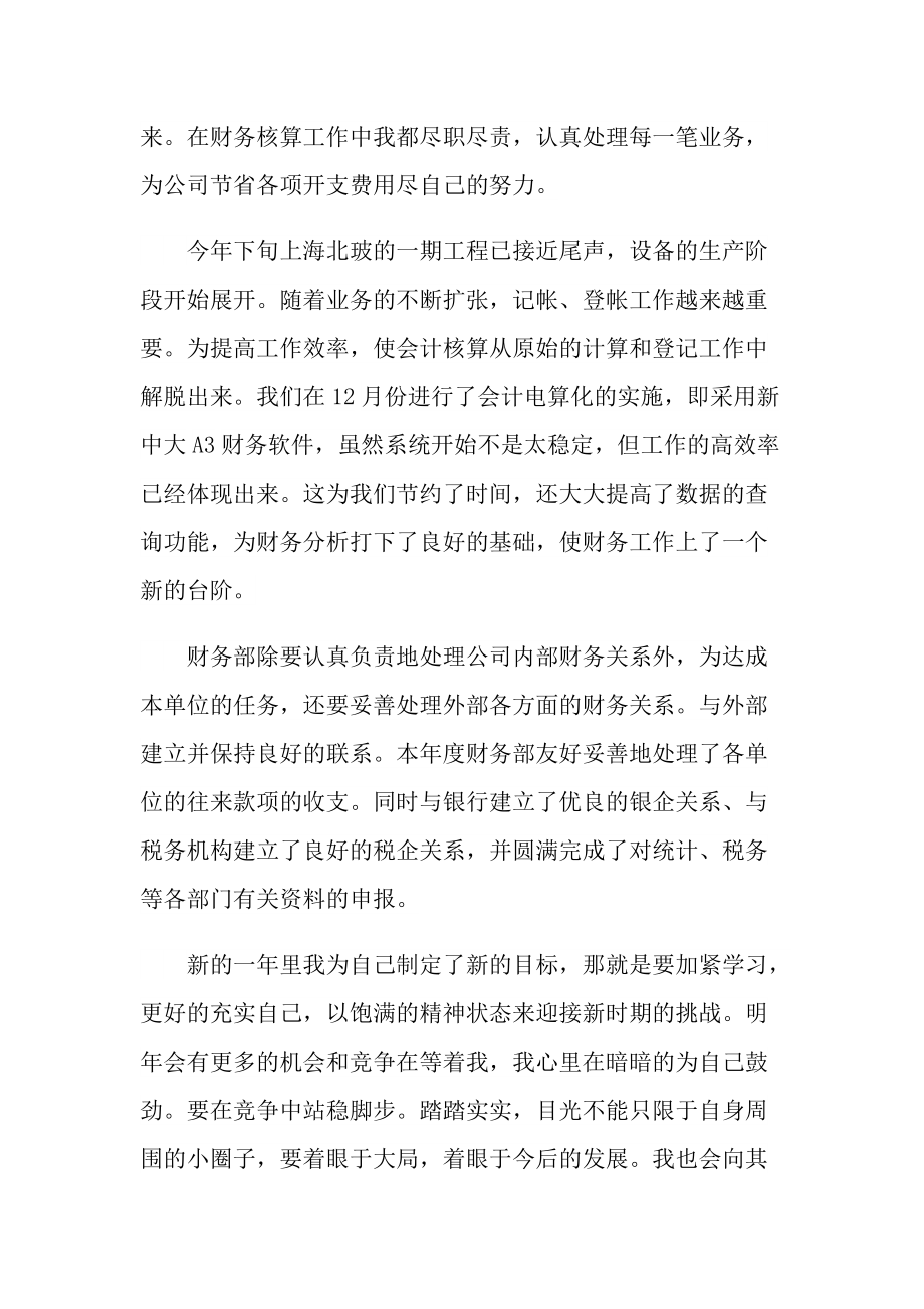 会计的个人总结报告.doc_第2页