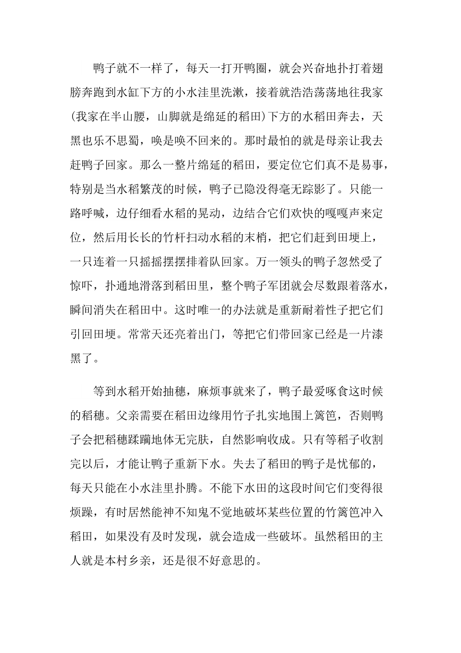 《我的阿勒泰》读书笔记名著书评.doc_第2页