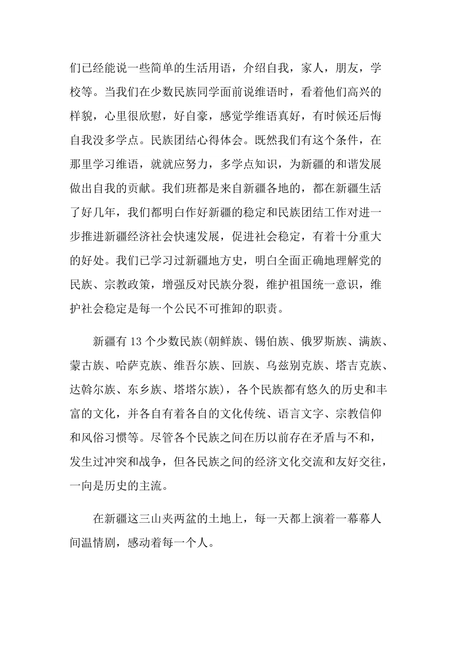 石榴籽一家亲主题团课观后感作文2021.doc_第2页