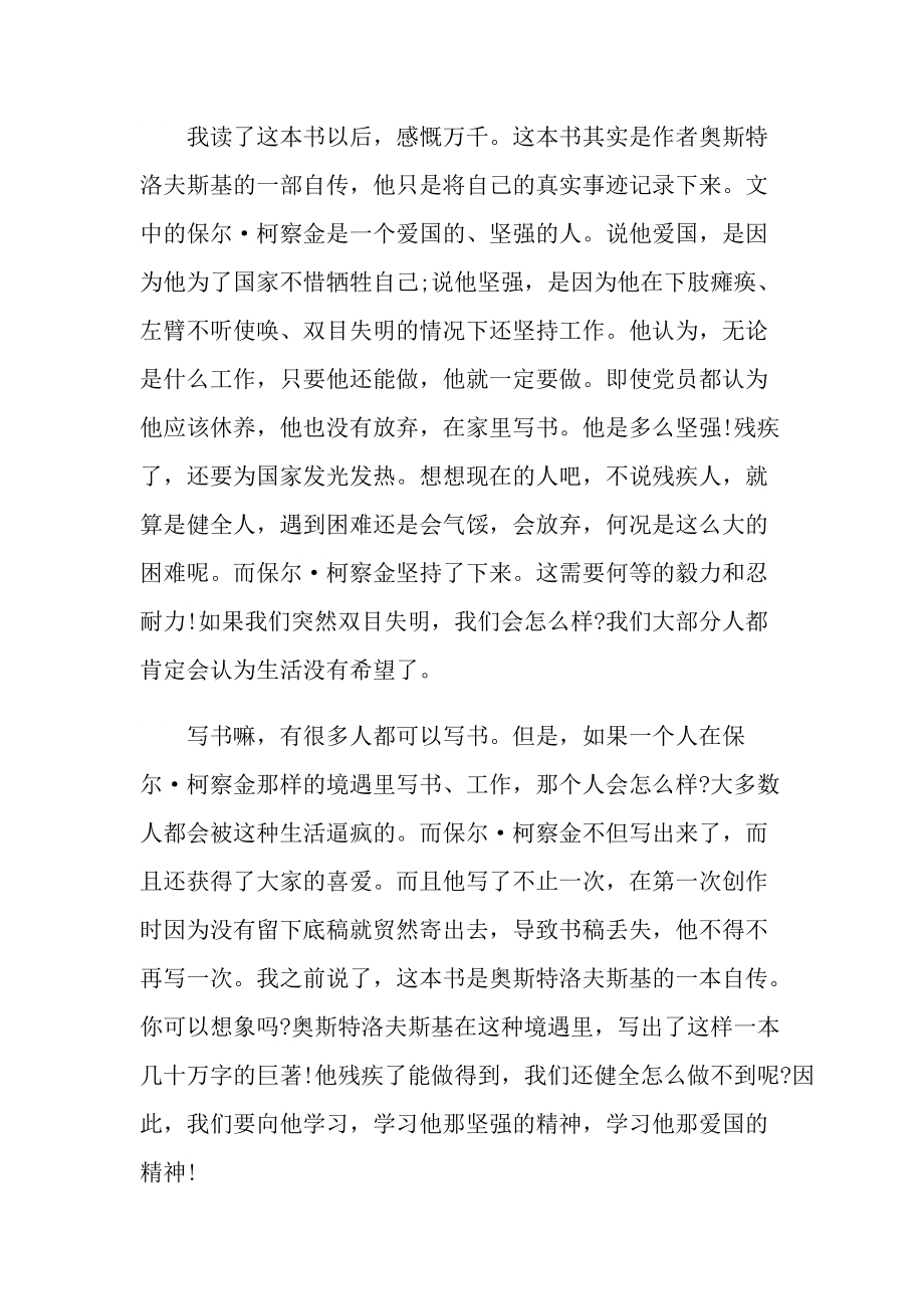 关于《钢铁是怎样炼成的》的读后感600字.doc_第3页