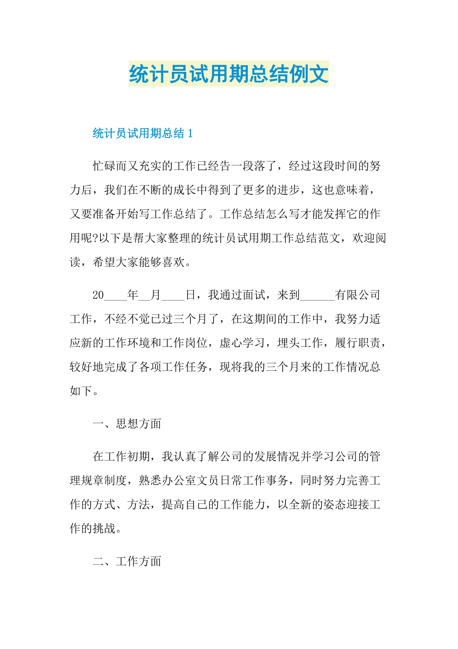 统计员试用期总结例文.doc_第1页