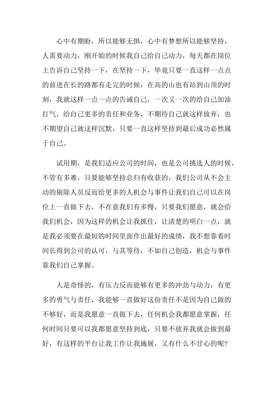 2022普通员工试用期工作总结.doc_第3页