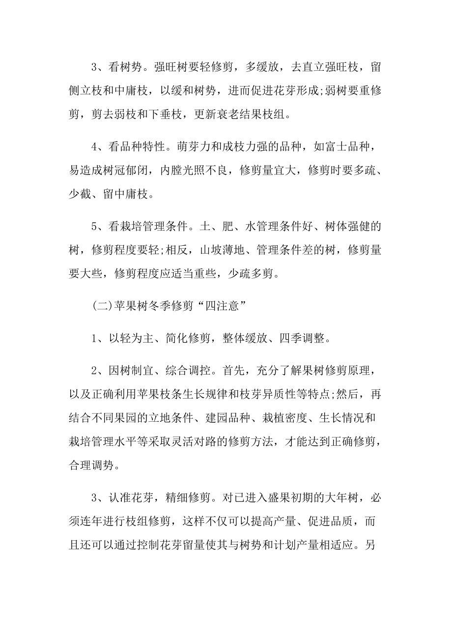 园艺实习总结范文.doc_第2页