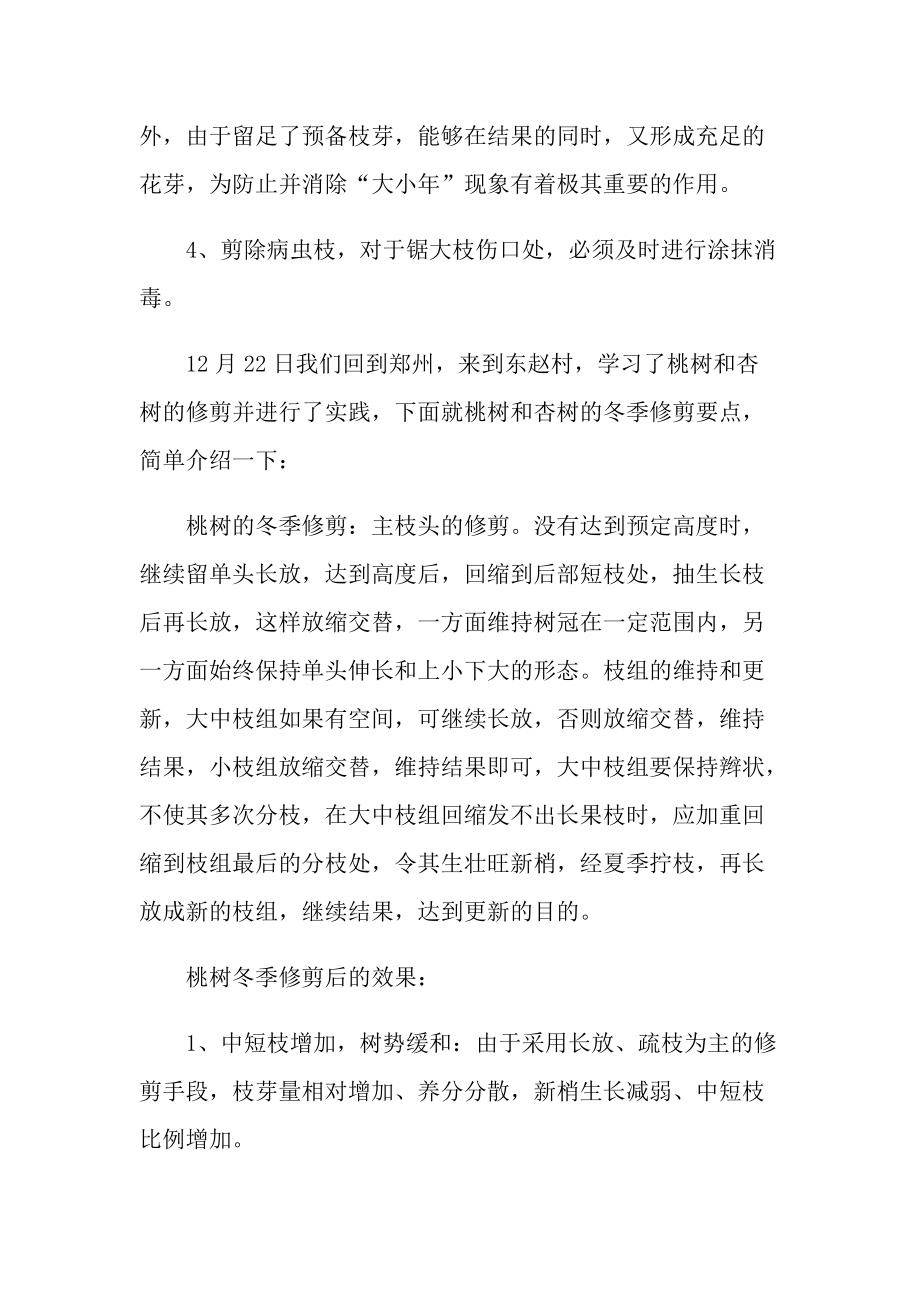 园艺实习总结范文.doc_第3页