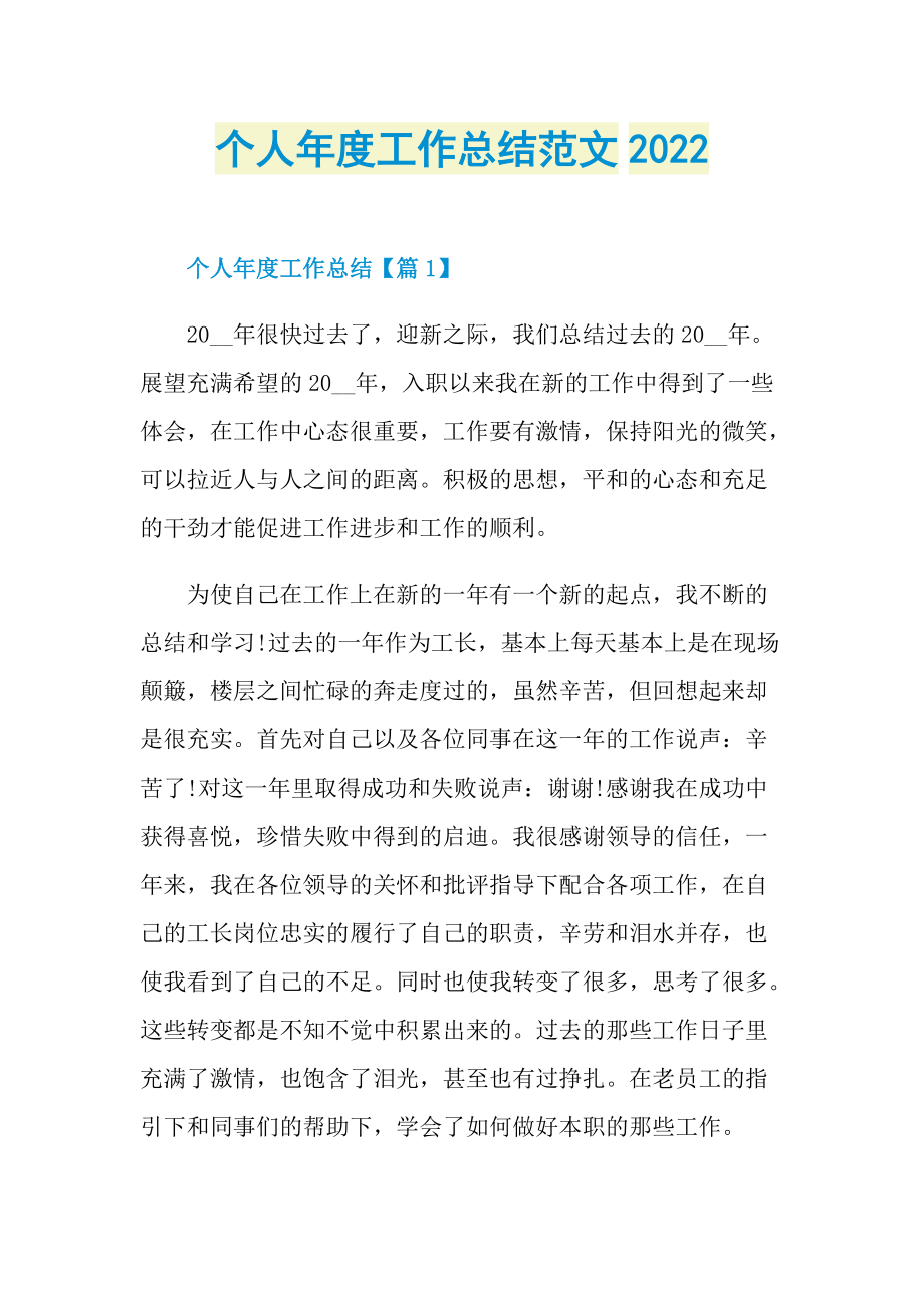 个人年度工作总结范文2022.doc_第1页