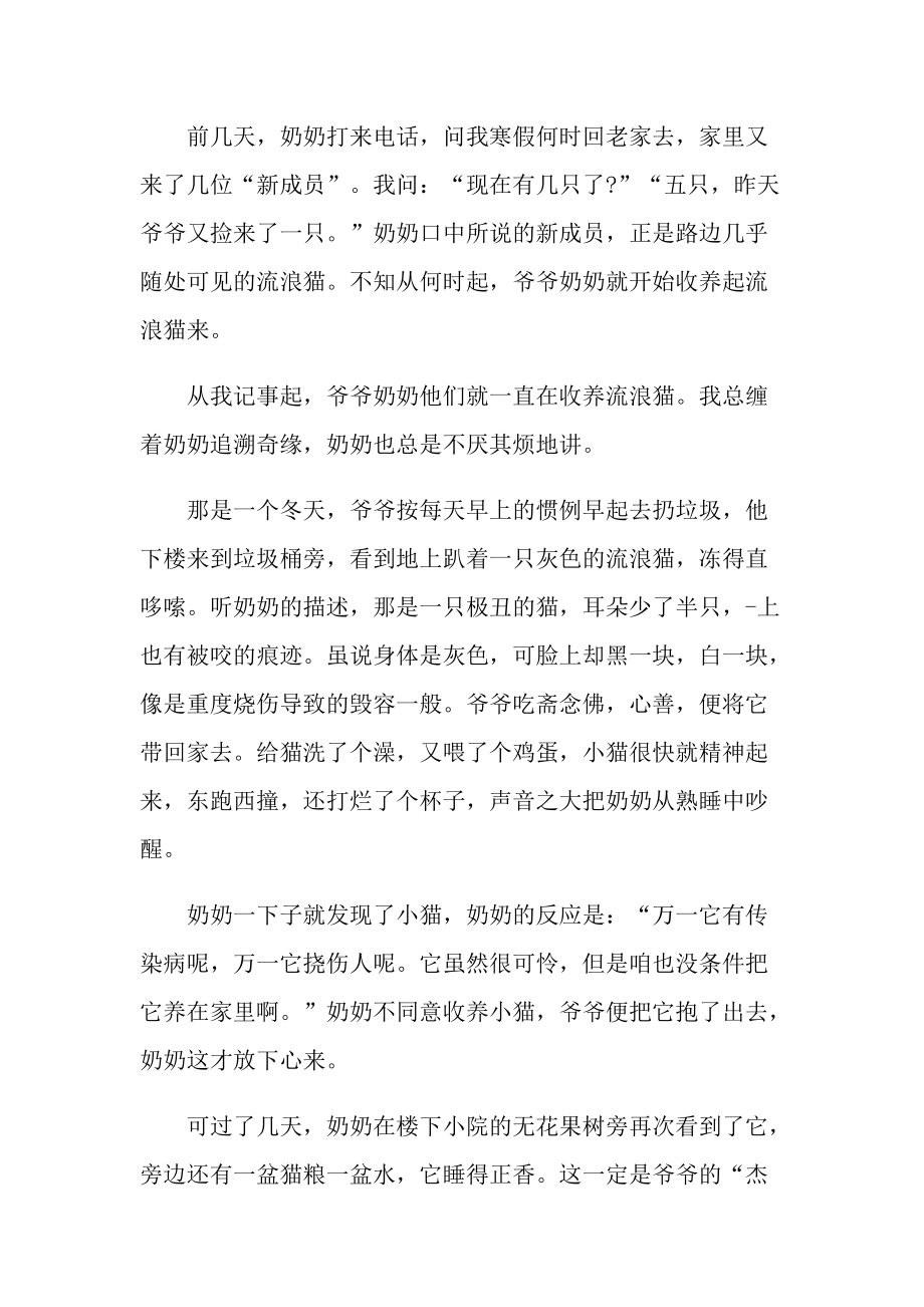 善良的满分作文随笔.doc_第3页