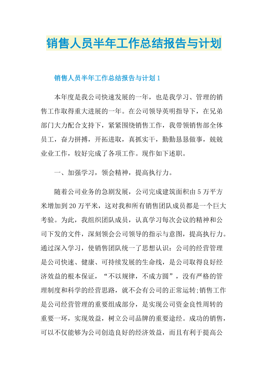 销售人员半年工作总结报告与计划.doc_第1页