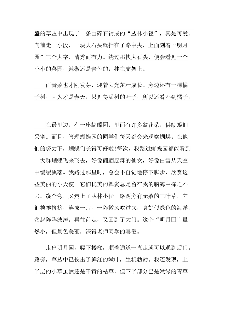 美丽校园的演讲稿.doc_第3页