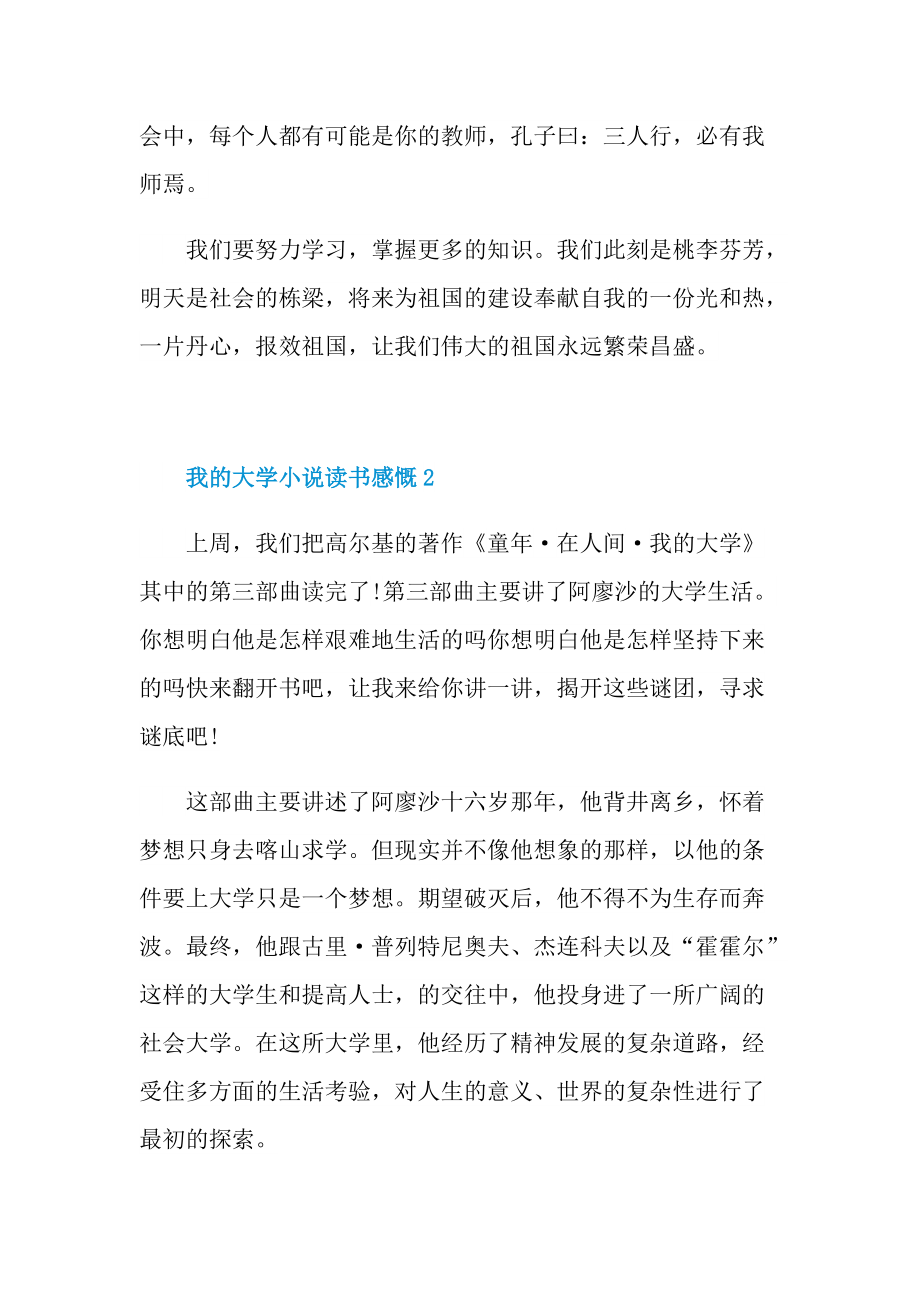 我的大学小说读书感慨.doc_第2页