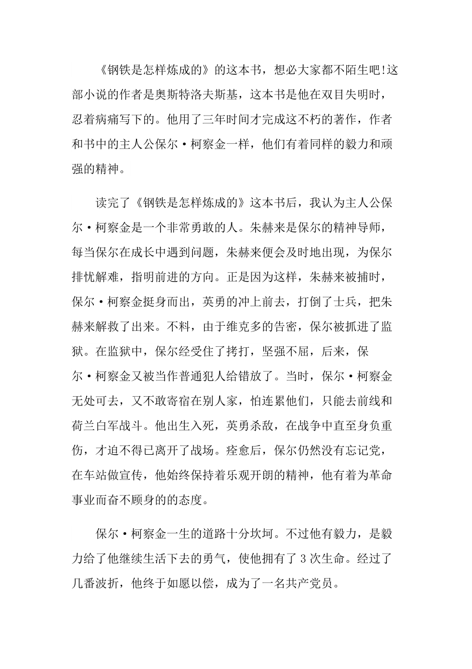 名著《钢铁是怎样炼成的》优秀个人读后感10篇.doc_第3页