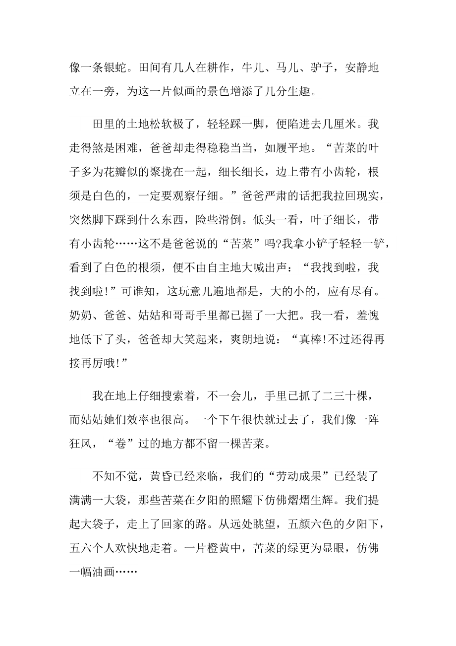 一年级快乐的五一作文大全.doc_第3页