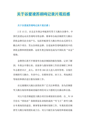 关于谷爱凌苏翊鸣记录片观后感_1.doc