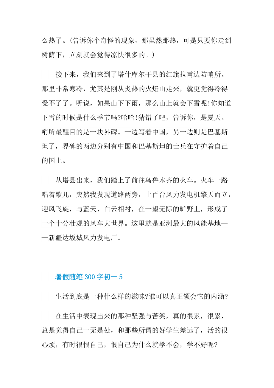 暑假随笔300字初一.doc_第2页