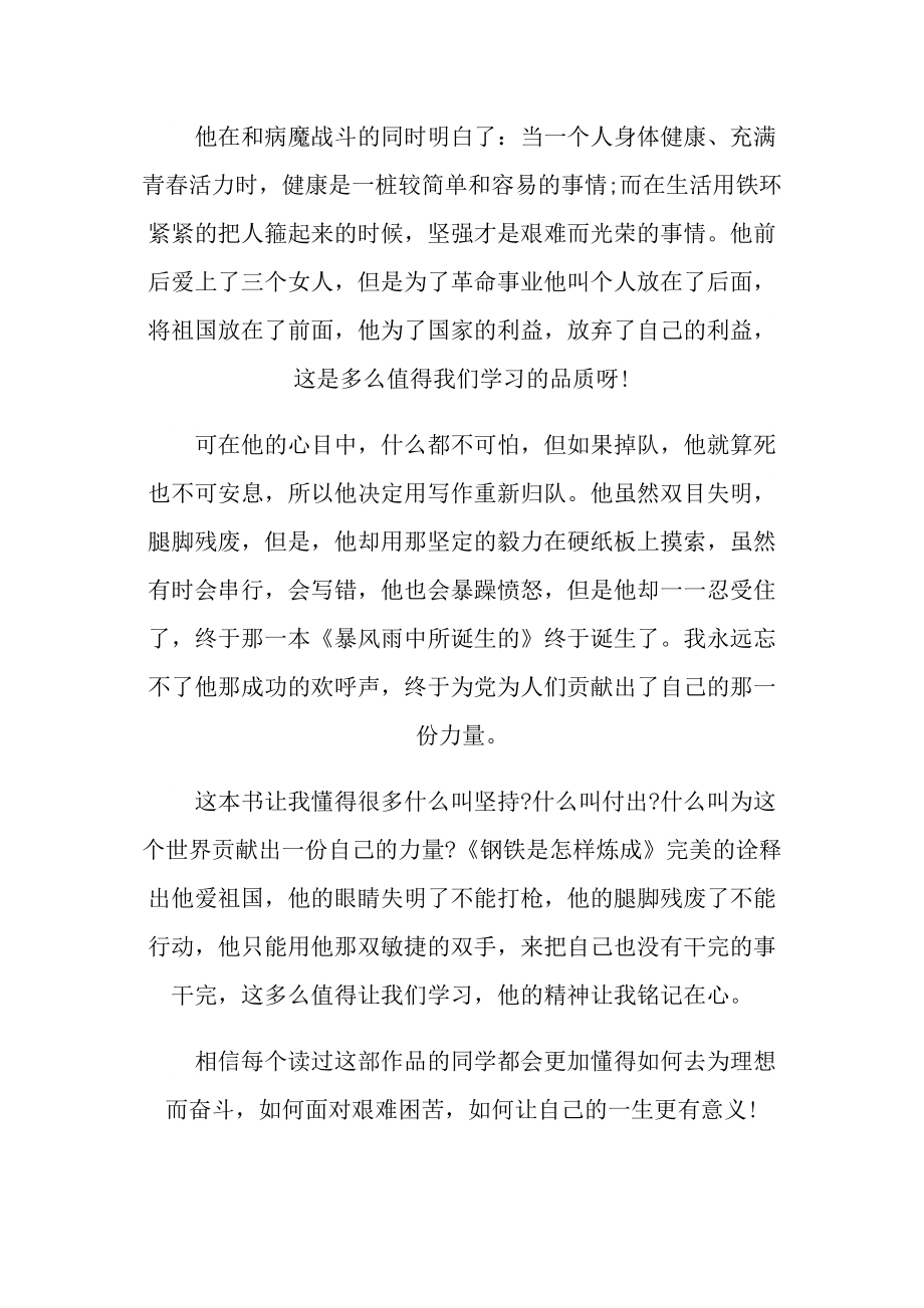 《钢铁是怎样炼成的》满分阅读心得.doc_第3页