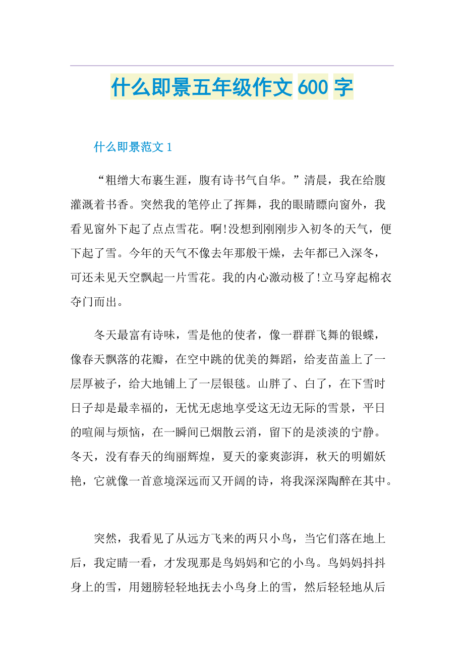 什么即景五年级作文600字.doc_第1页