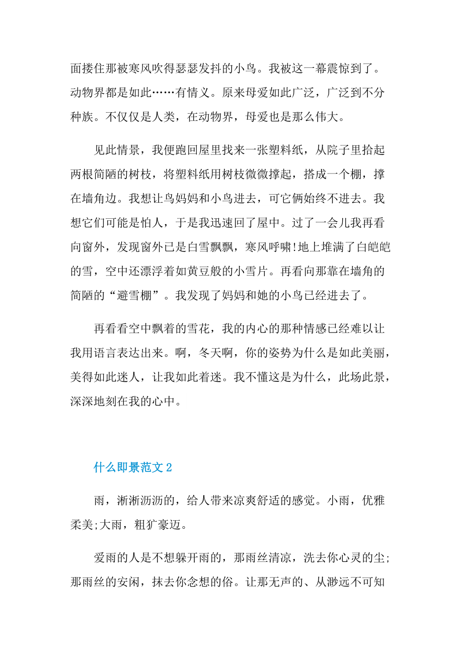 什么即景五年级作文600字.doc_第2页