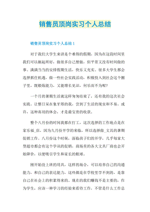 实习总结_销售员顶岗实习个人总结.doc